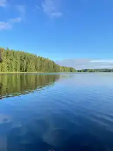 Дом в лесу на берегу Рудаковского озера - 39