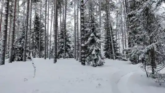 Дом с камином и баней у озера - 40