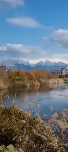 Студия на Трубачёва - 37