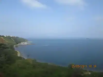 Дельфин - 2