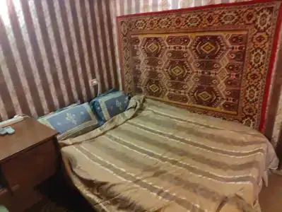 Гостевой дом у Петровича - 4