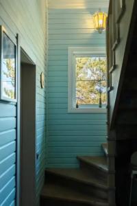 Синяя птица - 17