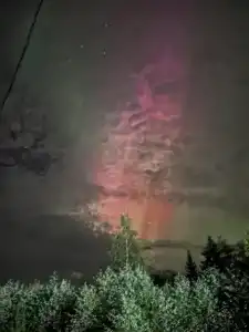 Гестхаус - 15
