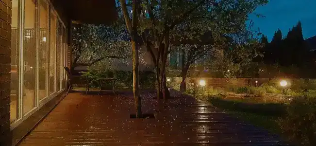 у Иветты - 2
