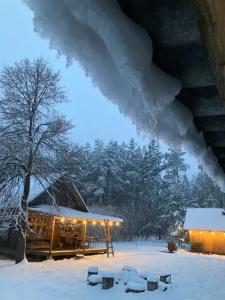 Уютный лесной домик со всеми удобствами в Полянках - 11