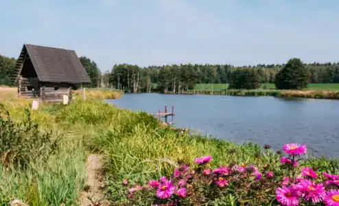 Гринкевичи - 6