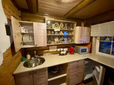 Светлазара - 38