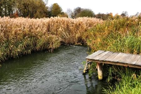 Дом с камином в Пыре - 45