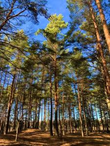 Дом Zarechye с русской баней и горячей купелью - 98