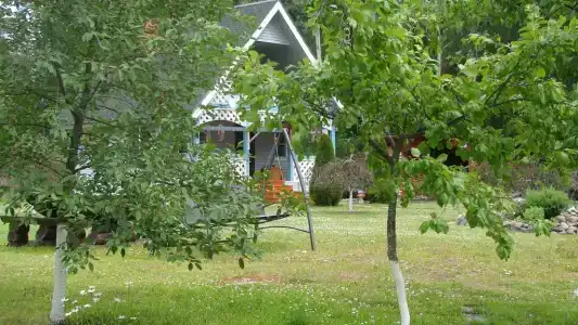 Дом на берегу речки Тихой - 1