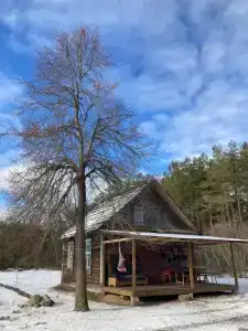 Уютный лесной домик со всеми удобствами в Полянках - 1