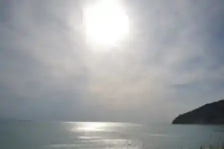 Аммонит - СевКавТисиз - 2