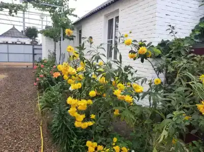 Отдых у моря - 31