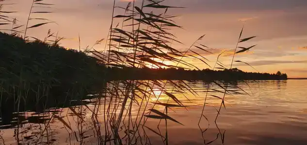 Дом c террасой - 24