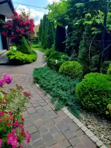 Brest Dream Gaden - 18