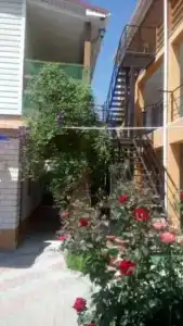 Светлана - 3