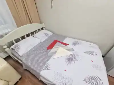 МоМи - 2