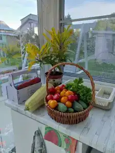 Ecohouse Dzen - отдых на озере - 8