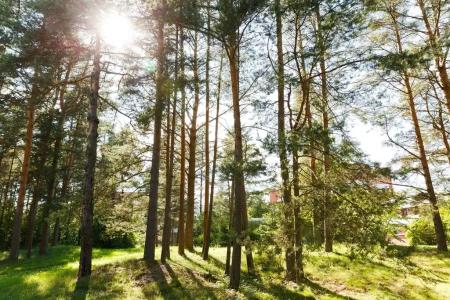 Белые Ночи - 6