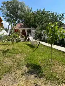 Донские Сезоны - 24