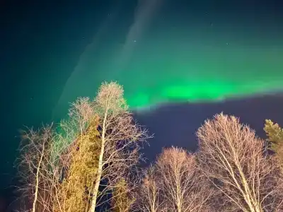 Частный дом среди леса - 35