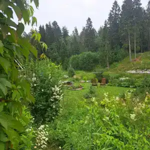 Уютный дом - 25