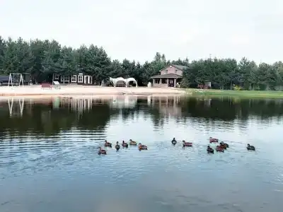 Святобор - 29