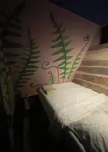 Осмос - 15