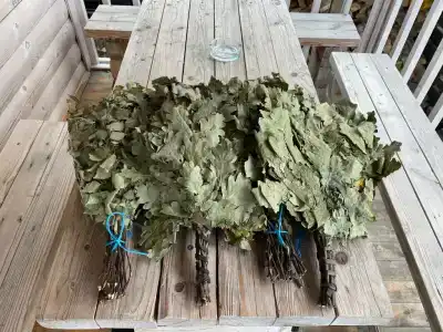 Снетковское Озеро - 151