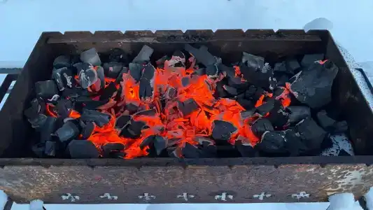 Коди Ярви - 97