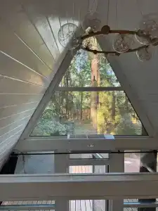 Forest City - 17