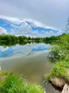 Дом с камином и баня на дровах - 21