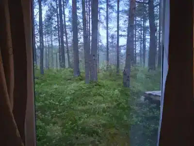 Территория Тернаволок - 13