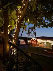 Баракиат - 15