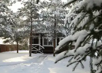 Коттедж бревенчатый - 2
