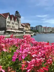 Квартиры в Малом переулке 3 - 89