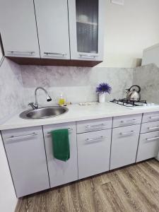 Квартиры на Ломоносова 43 - 53
