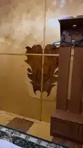 Золотой мустанг - 9