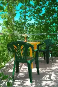 Отрада Плюс - 17