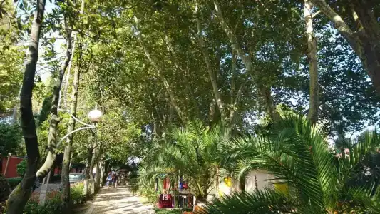 Квартира для отдыха на море - 11