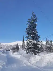 Домик с видом на горы - 26