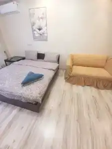 Сова - 1