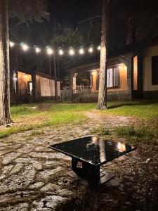 Наедине с Эльбрусом - 72