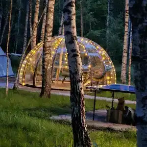 В гостях у леса - 62