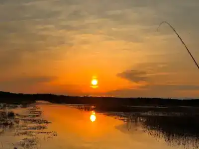 Пралеска - 26