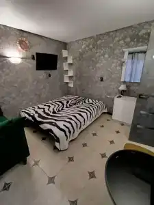 Кот в сапогах 1 - 27