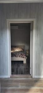 У Светланы - 5