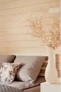 Барсятос - 35