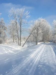 у Пяти Озер - 78