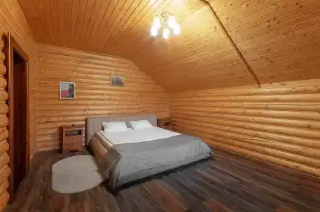 СВХ - 101